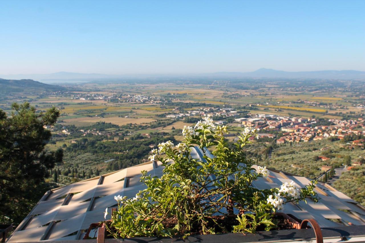 San Luca.
