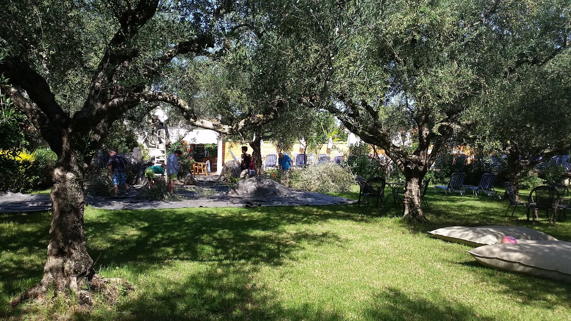 Castelli Hotel foto 12
