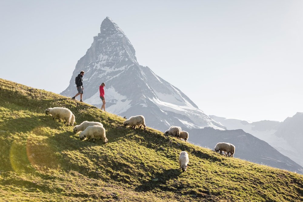 Swiss Alpine Hotel Allalin foto 33