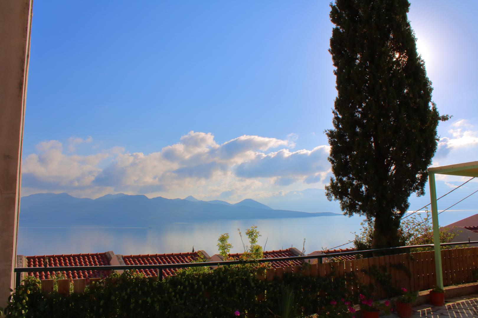 Vergina Star foto 22