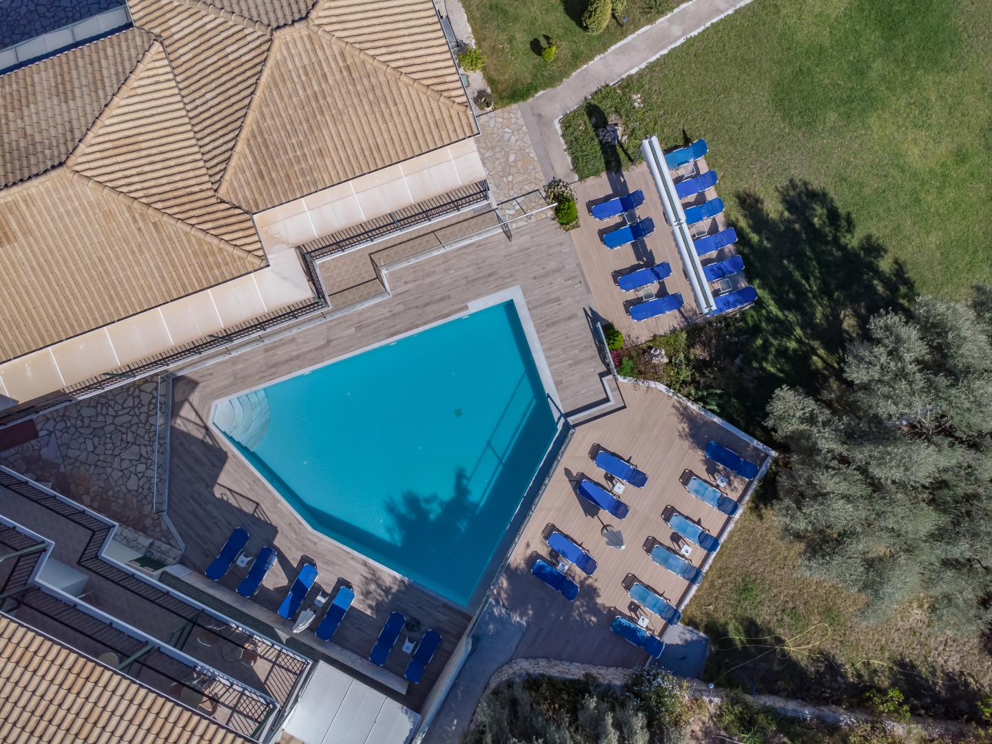 Vergina Star foto 28