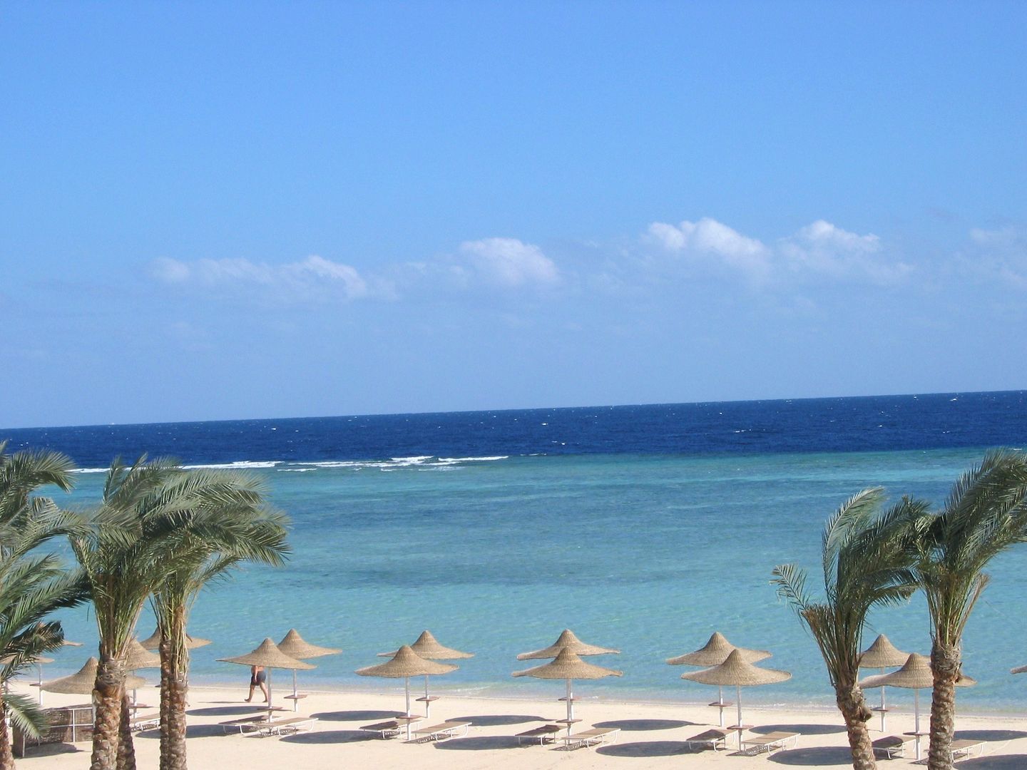 Protels Beach Club & SPA foto 8