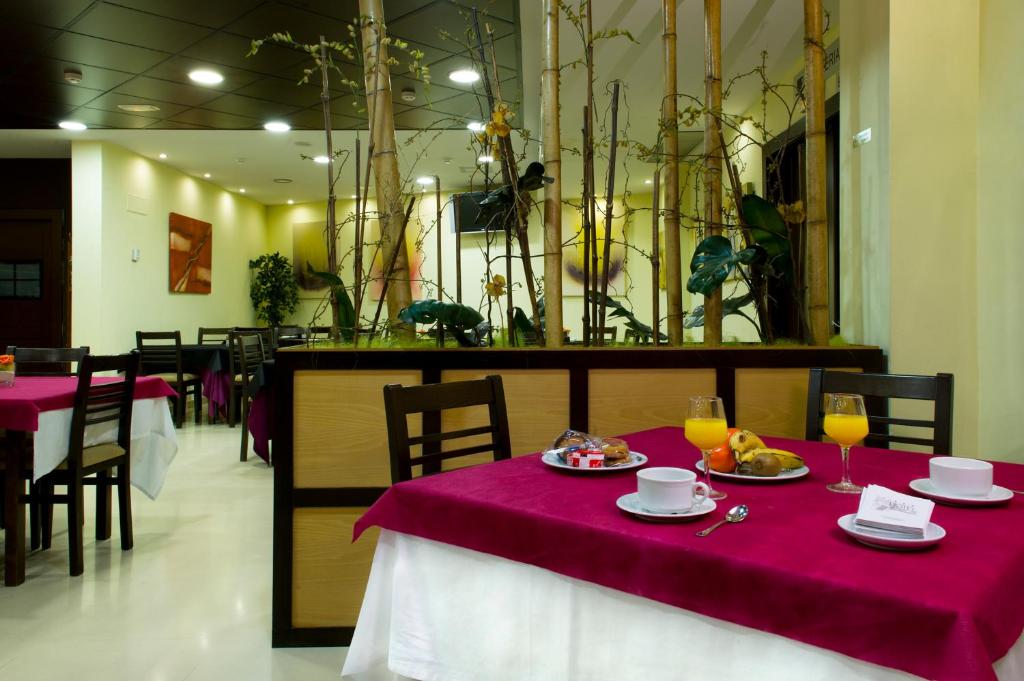 Hotel Ciudad de Sabiñánigo foto 15