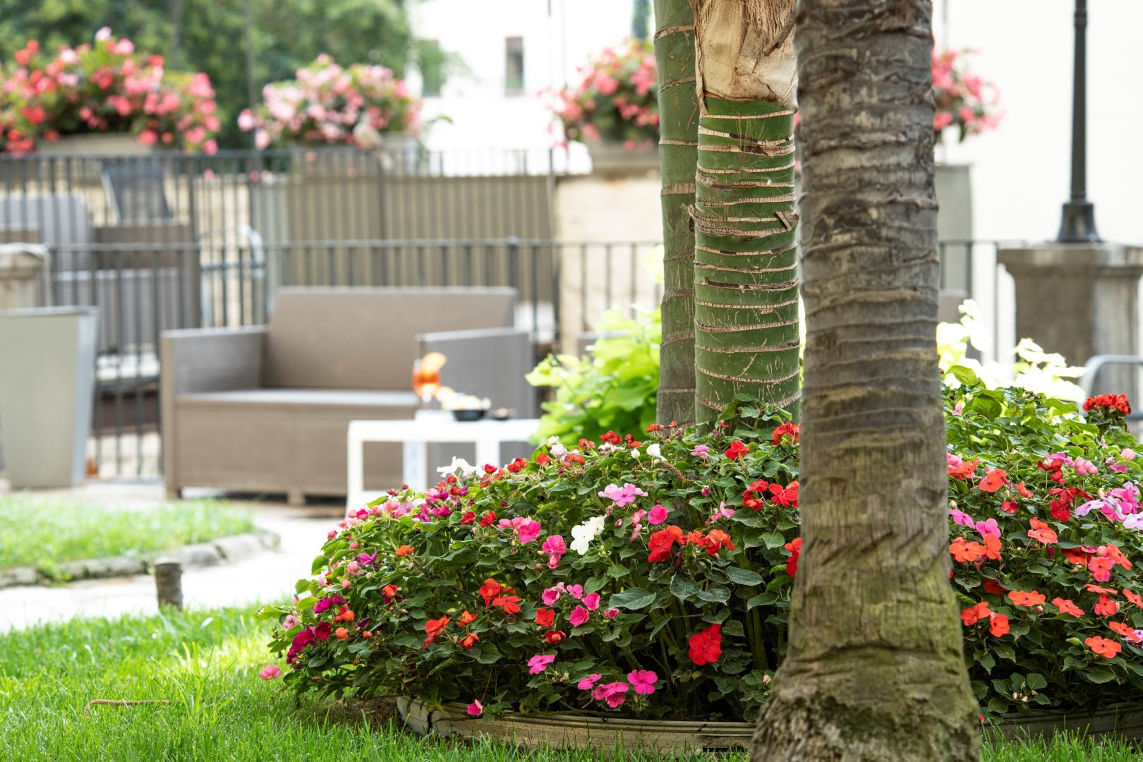 Villa Elisio Hotel & Spa foto 19