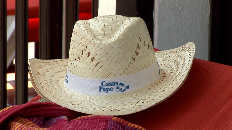 Casas Pepe foto 19
