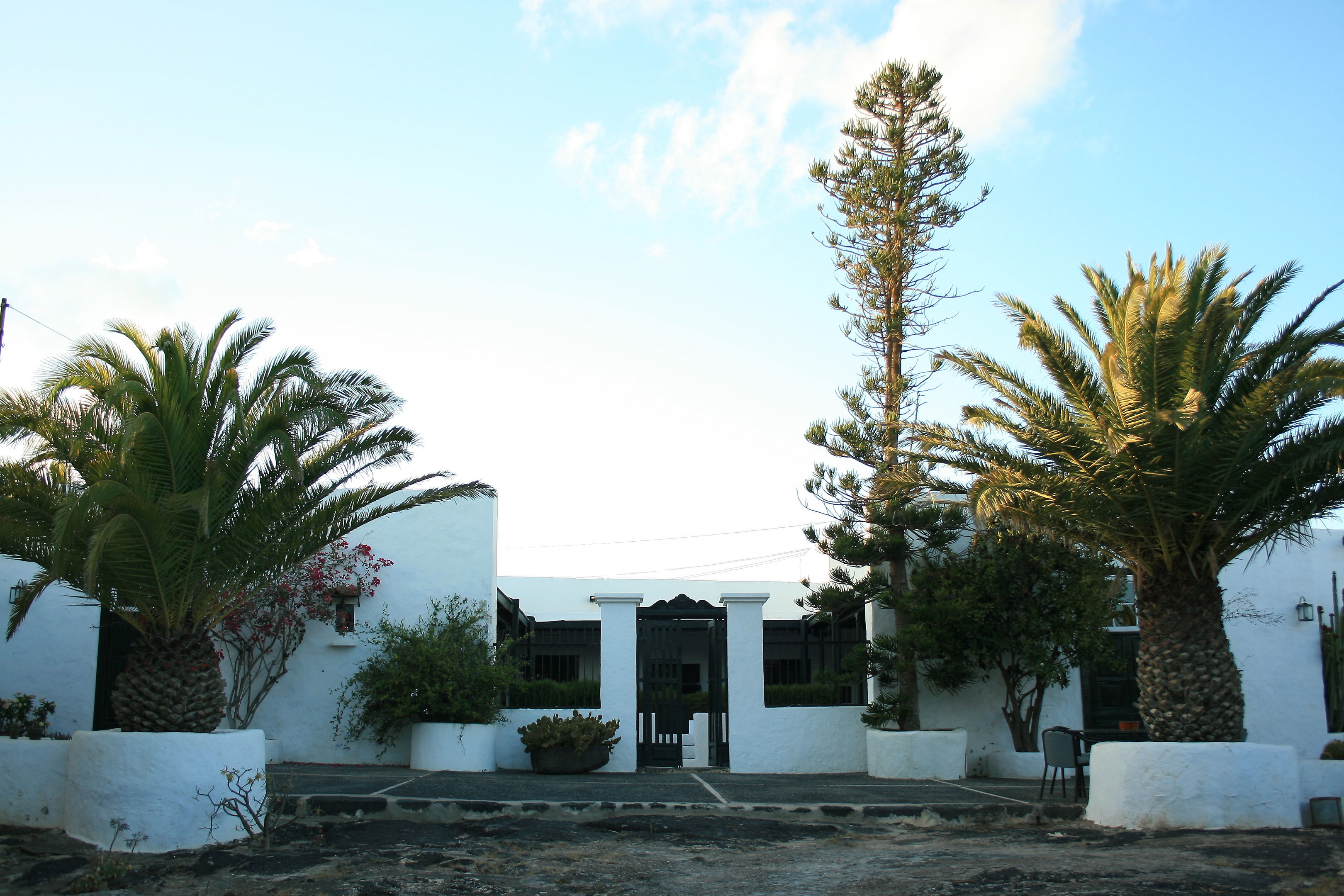 Hotel EL GRIFO foto 10