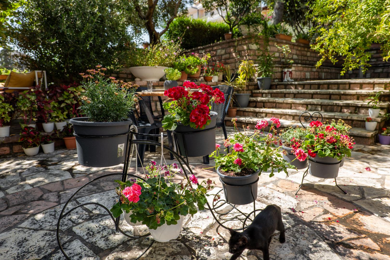 Villa Green Garden foto 37