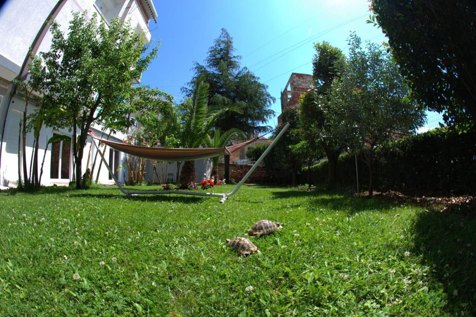 Villa Green Garden foto 46