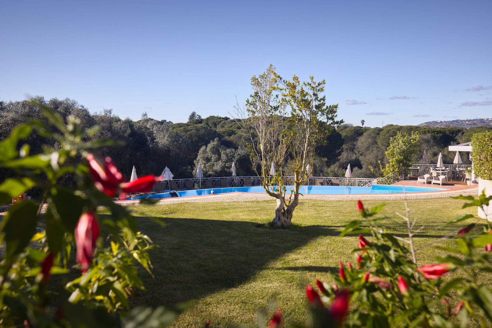 Cegonha Country Club foto 34