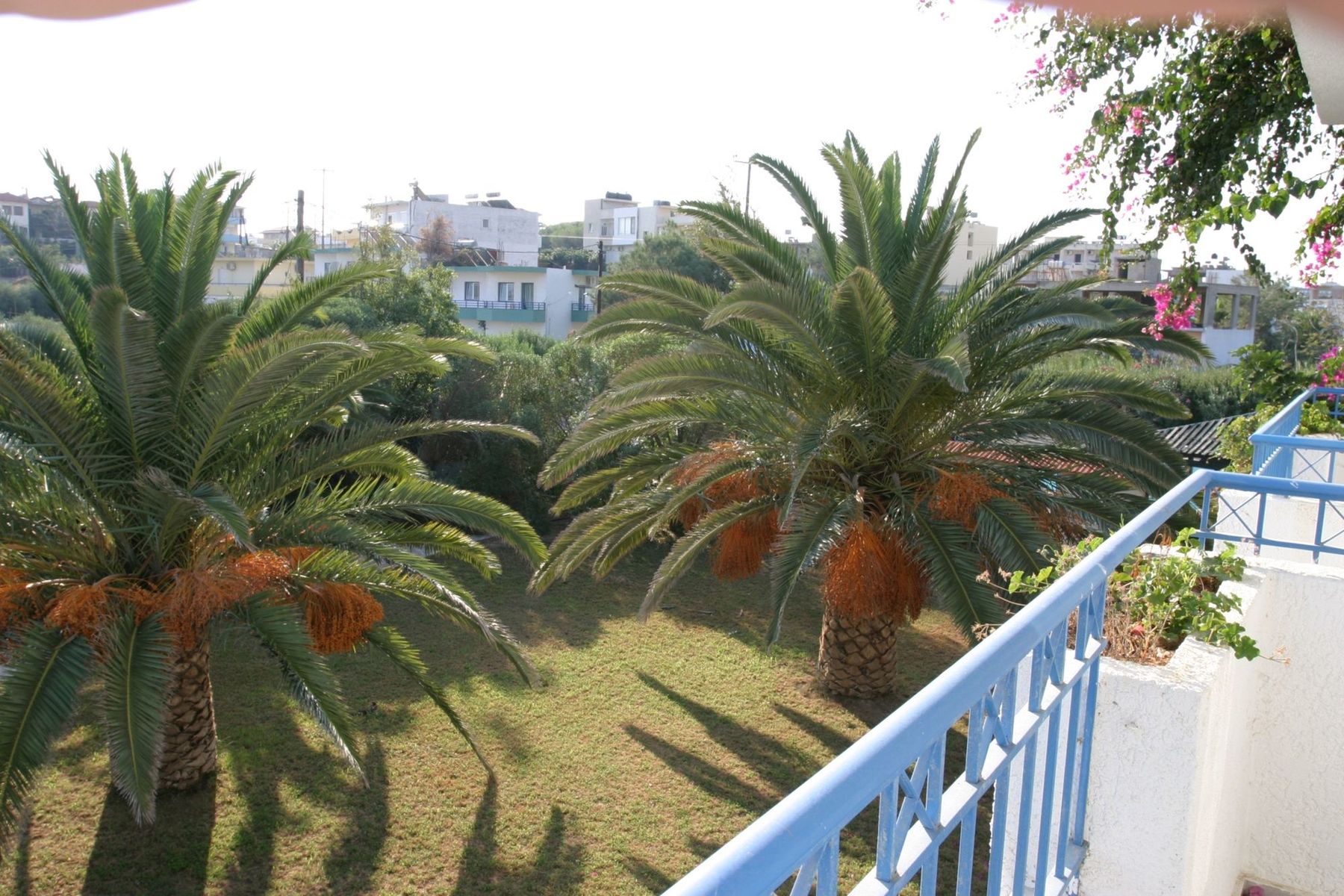 Gorgona Hotel foto 14