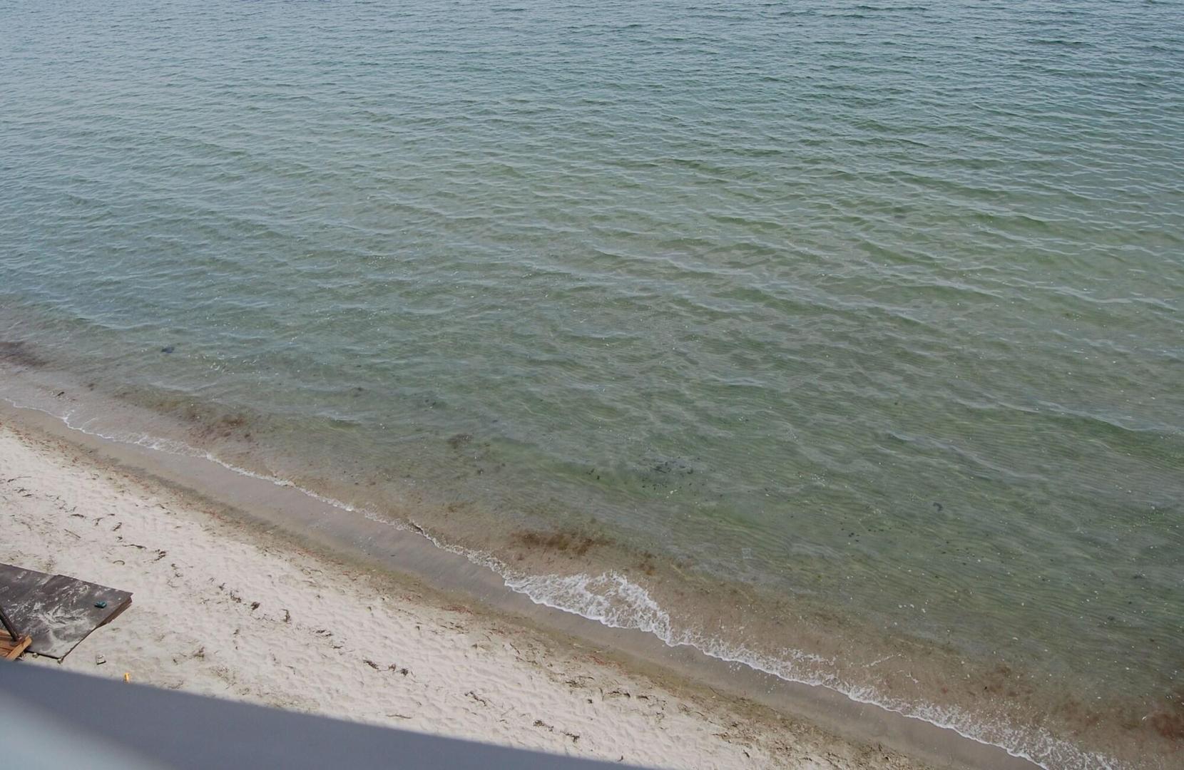 Paralia Beach Boutique Hotel foto 43