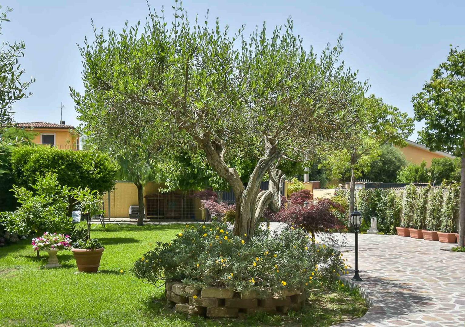 B&B A Casa di Titty foto 13