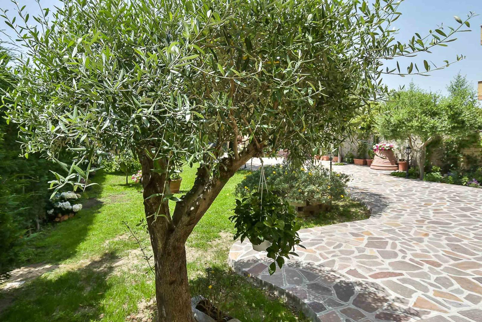 B&B A Casa di Titty foto 15