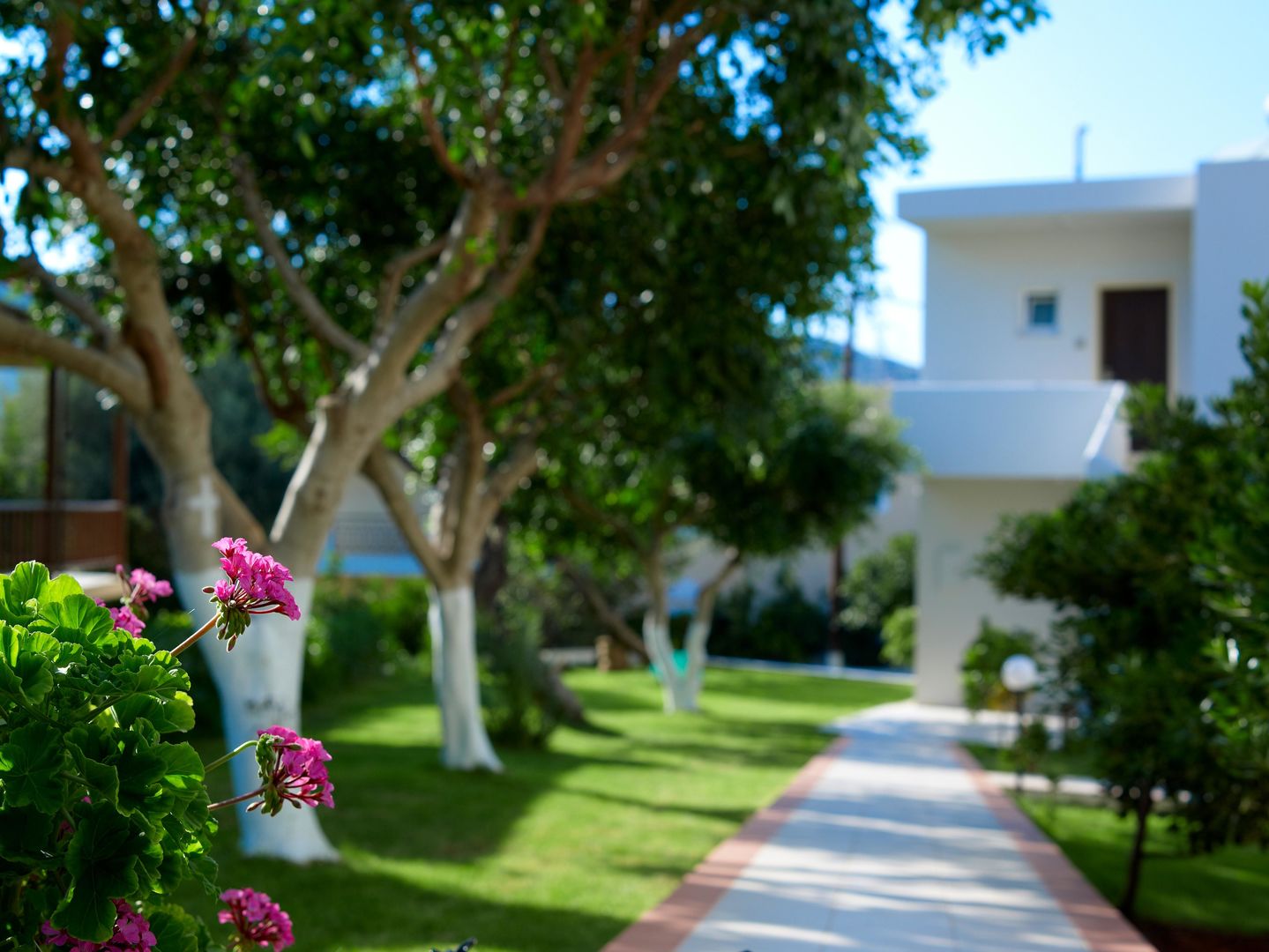 Katrin Hotel & Bungalows foto 12
