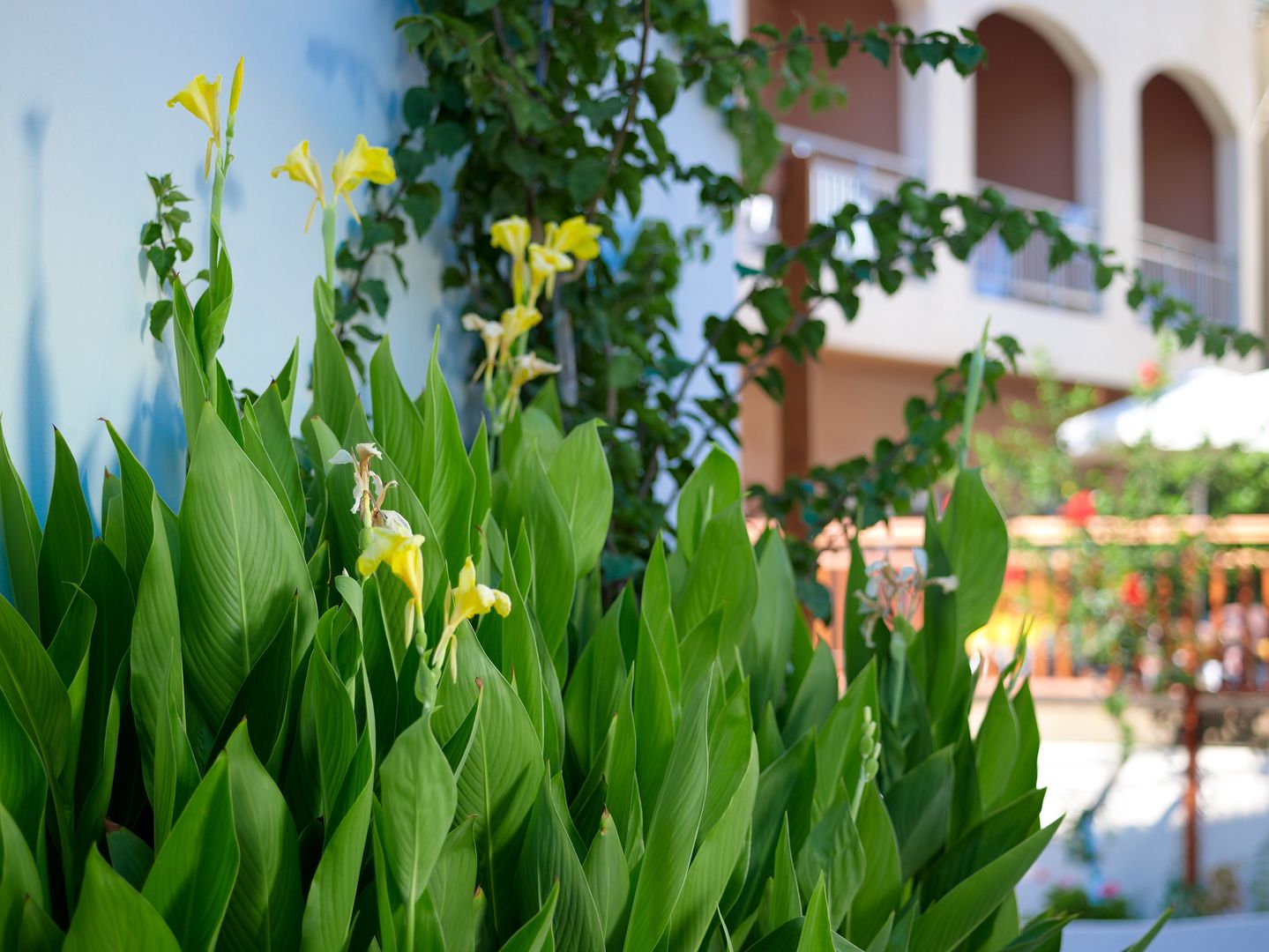 Katrin Hotel & Bungalows foto 11