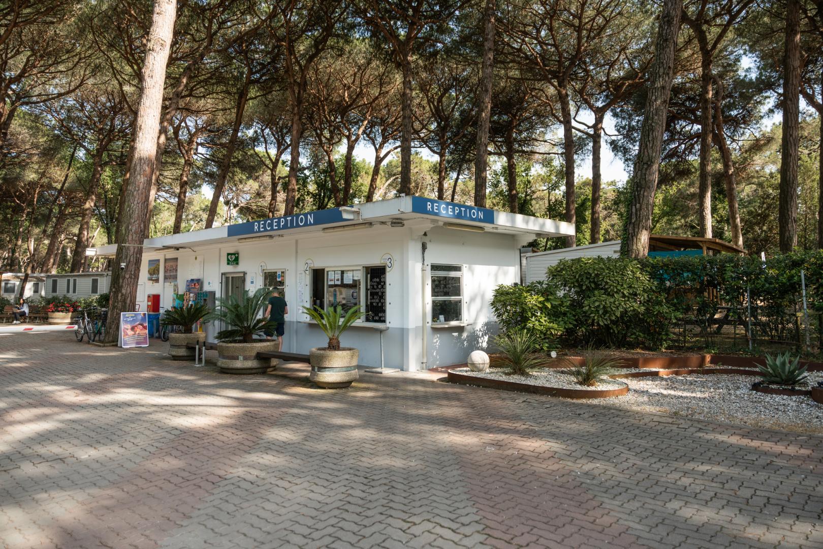 Marina Romea Easy Camping Village foto 15