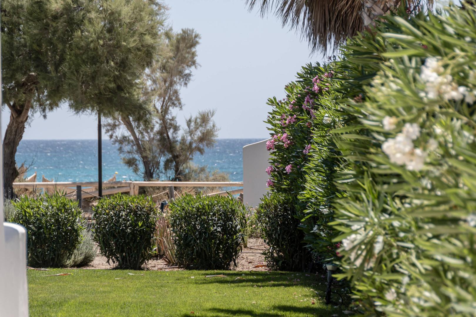 Glaronissi Beach foto 26
