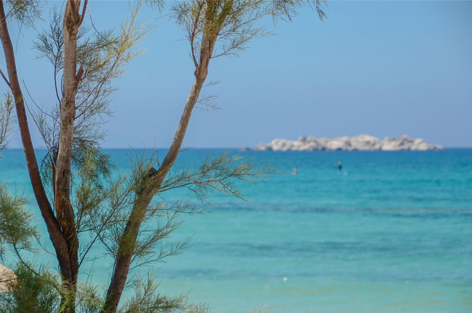 Glaronissi Beach foto 34