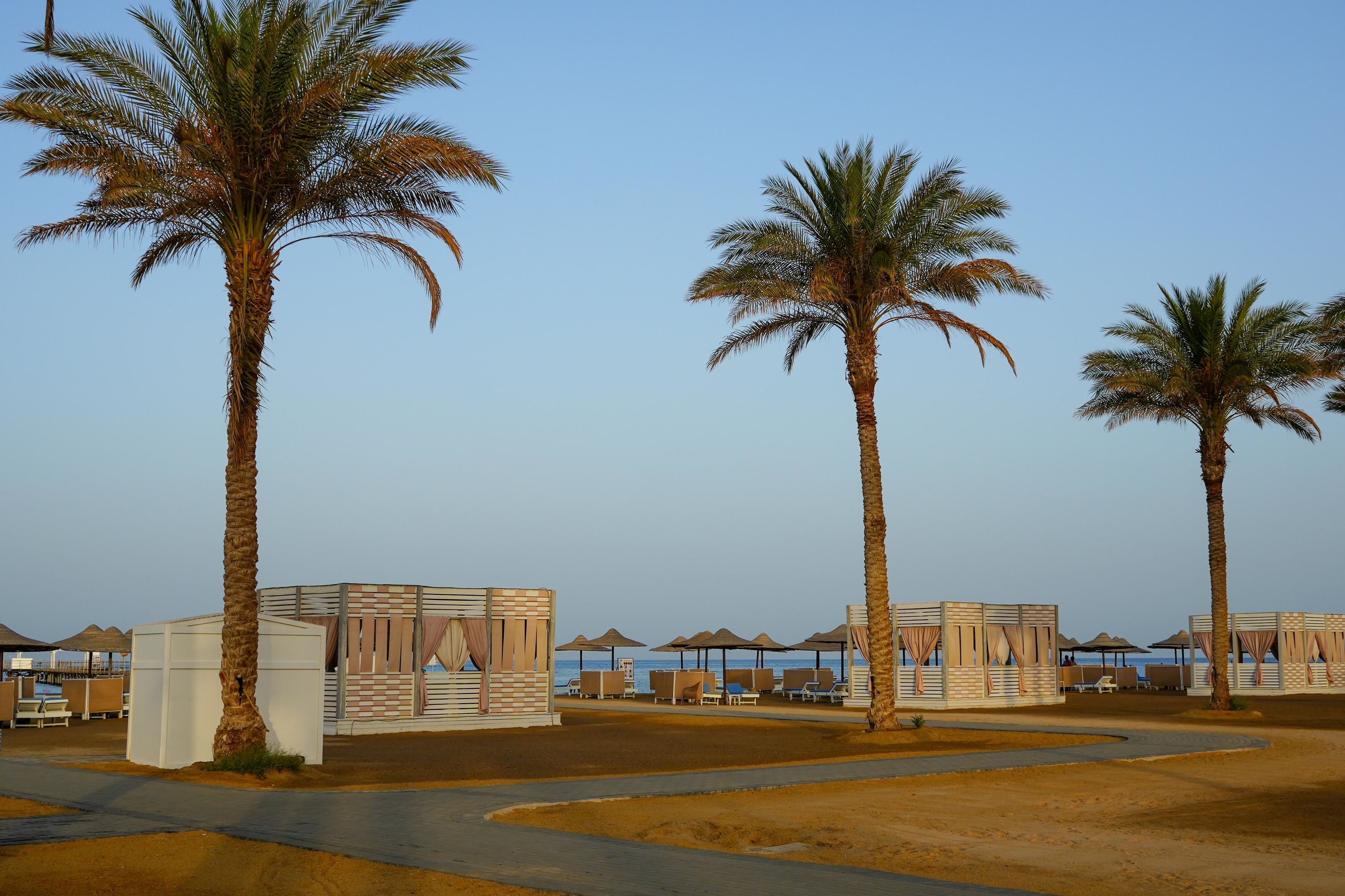 Sataya Resort Marsa Alam foto 84