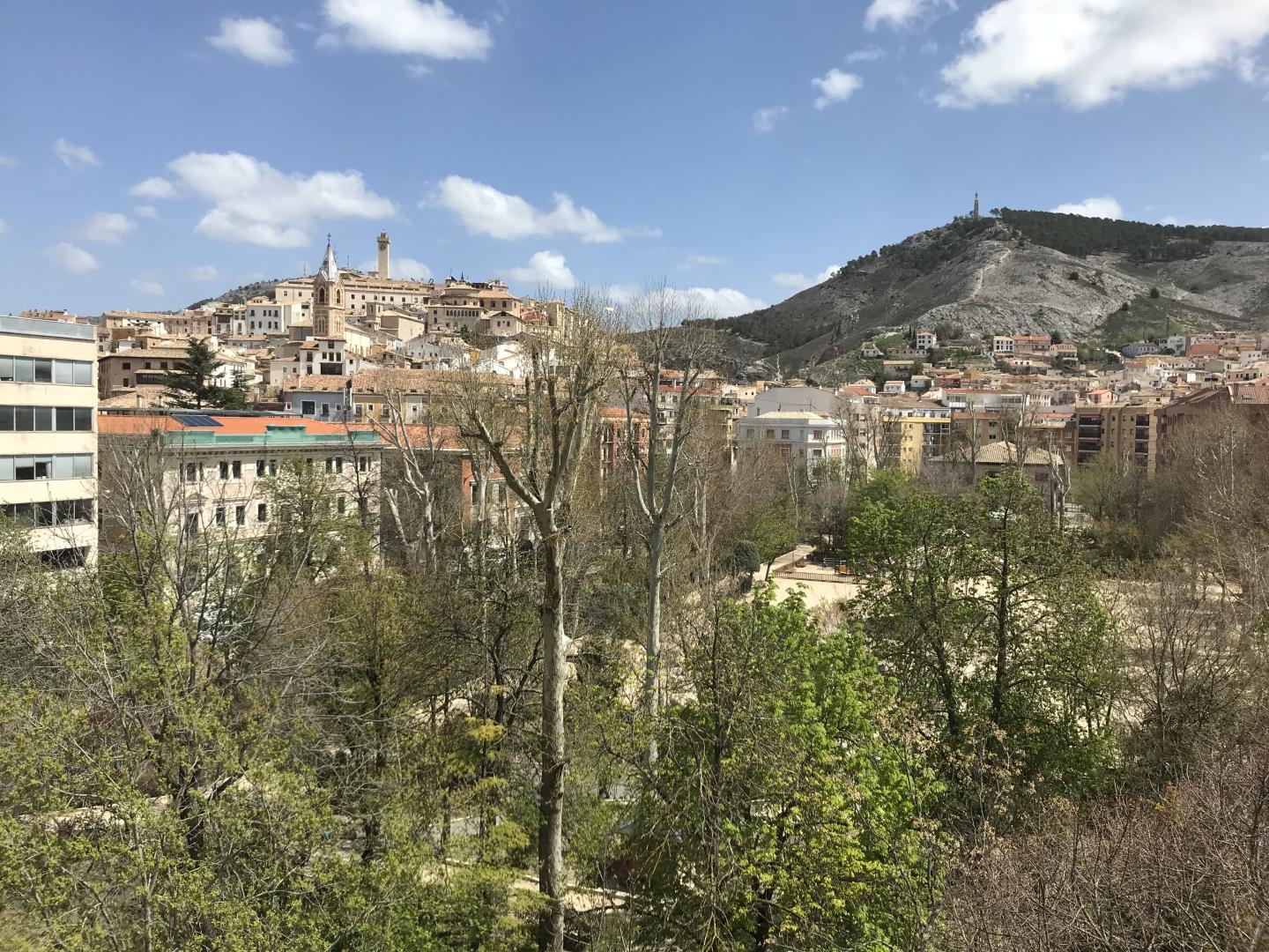 Alfonso VIII foto 11