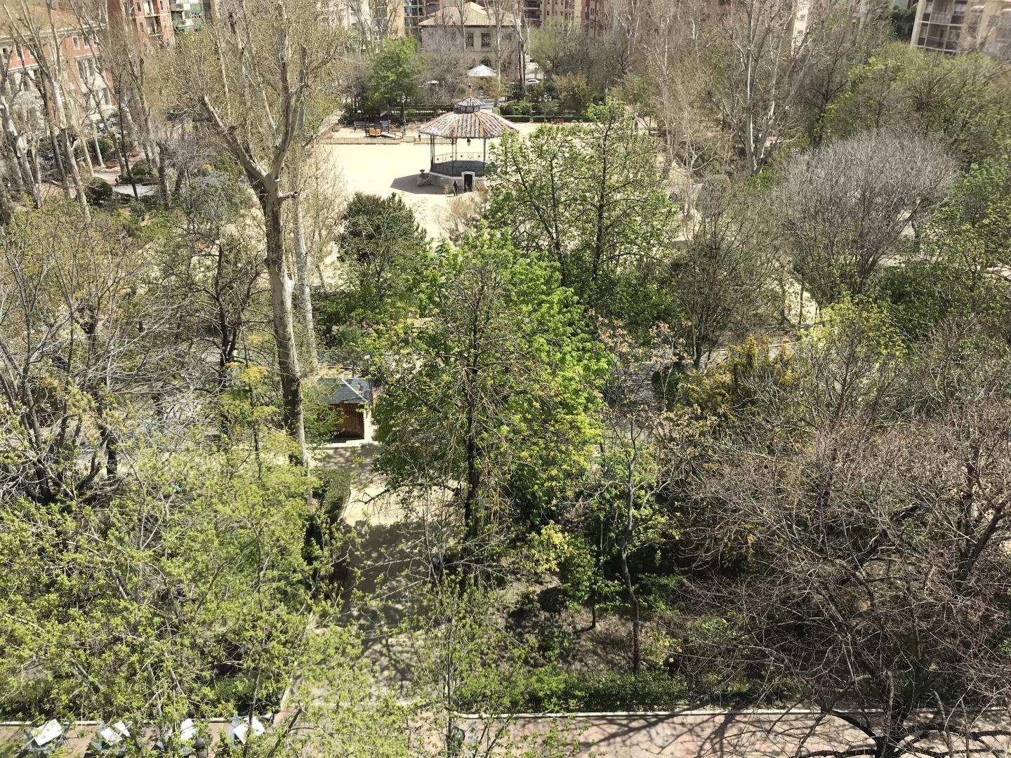 Alfonso VIII foto 15