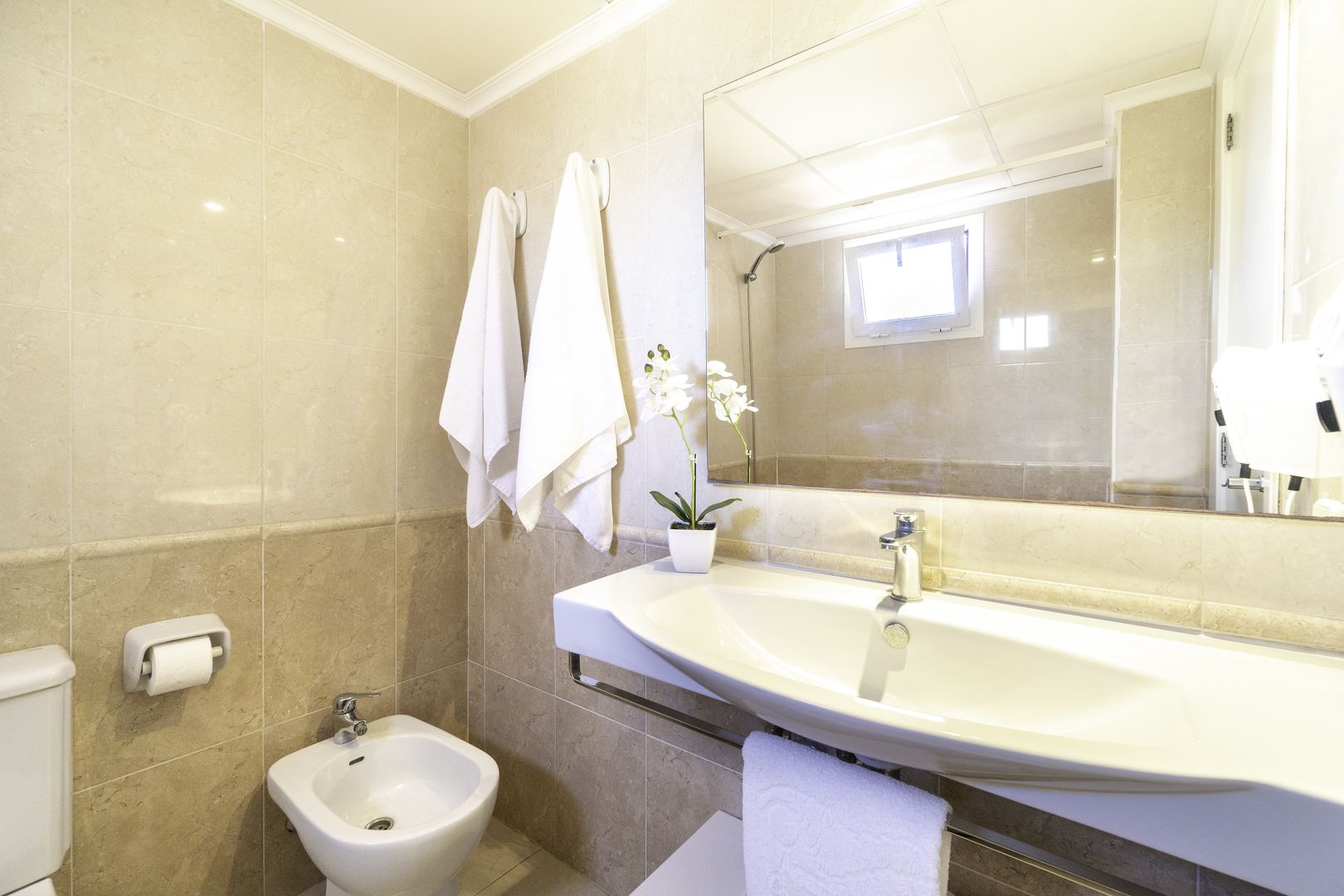 Aparthotel Ciudad Laurel image 3