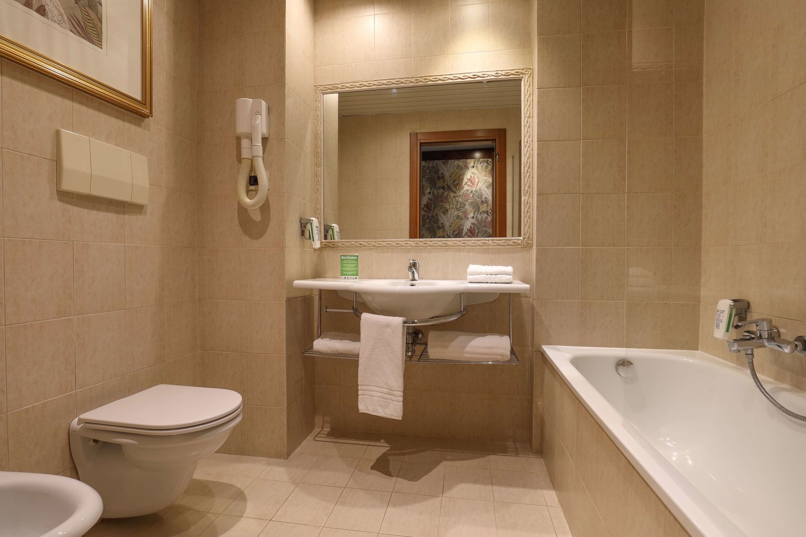 Best Western Park Hotel Roma Nord foto 65
