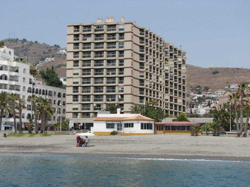 Apal Chinasol foto 15