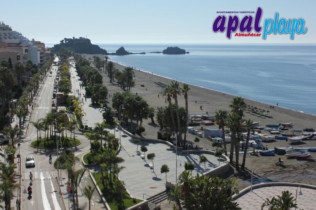 Apal Chinasol foto 18