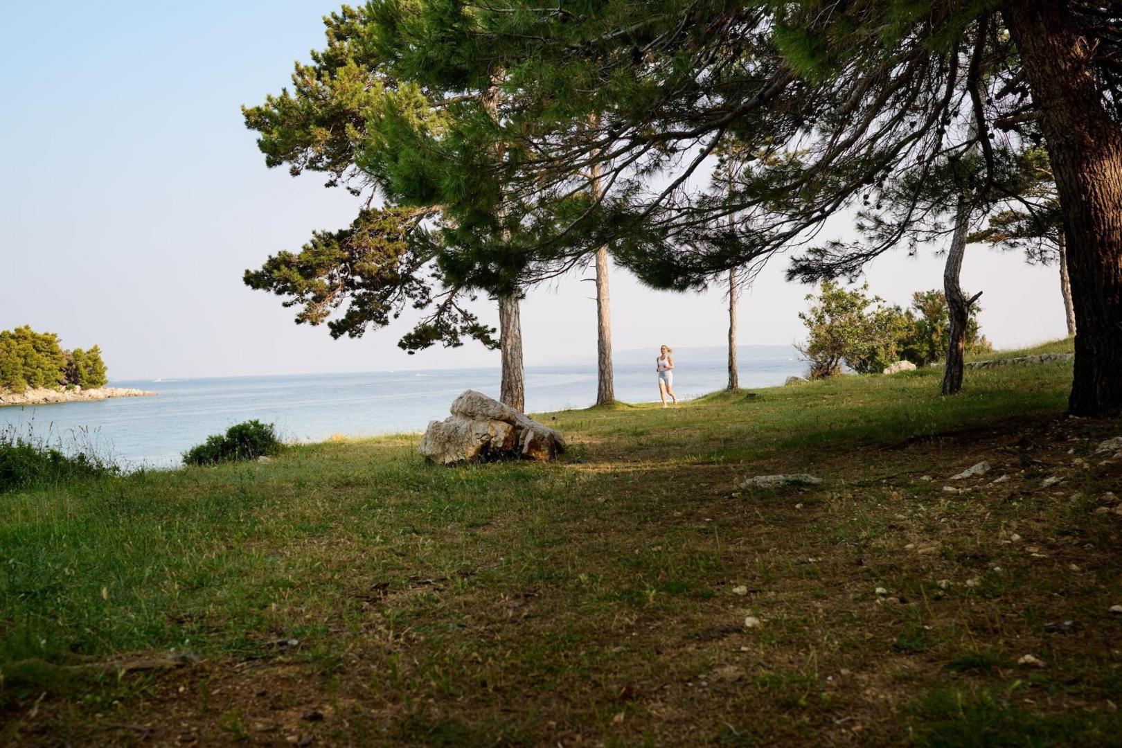 Arba Resort, Valamar Collection foto 21