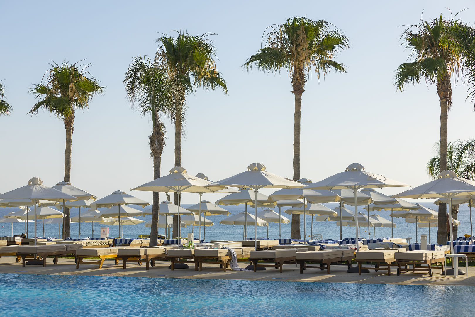Constantinos The Great Beach Hotel foto 6