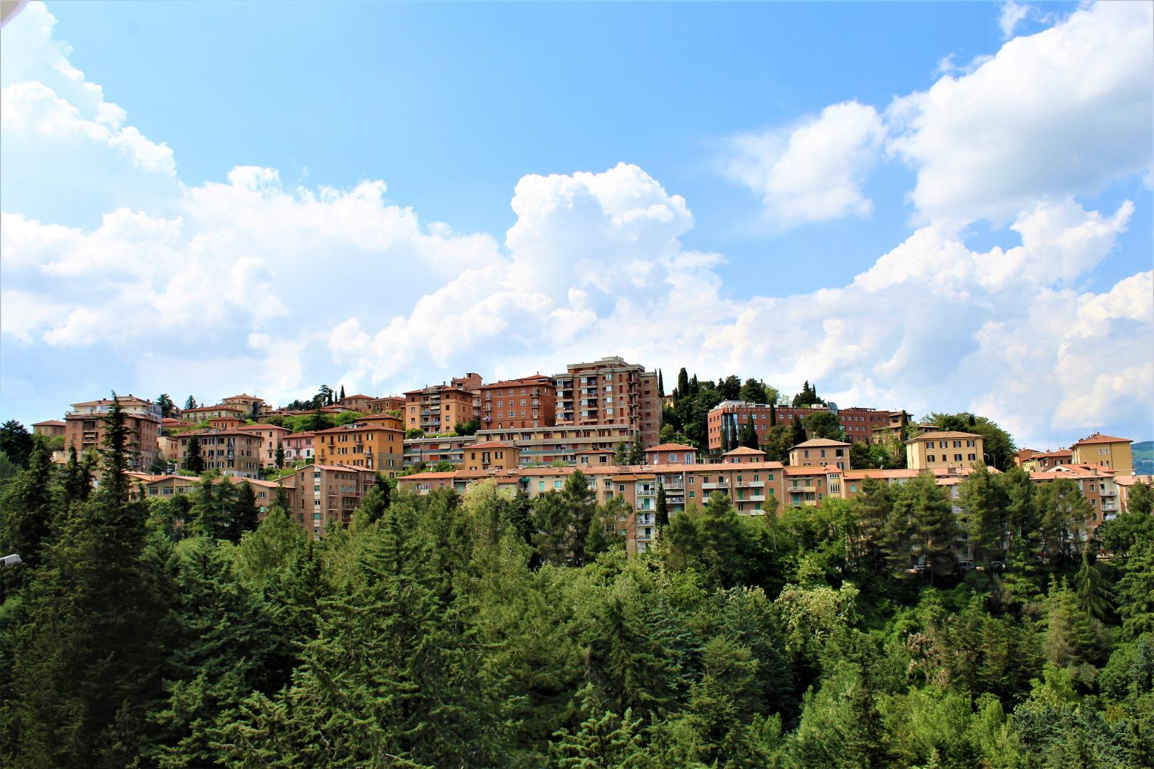 Ilgo foto 11