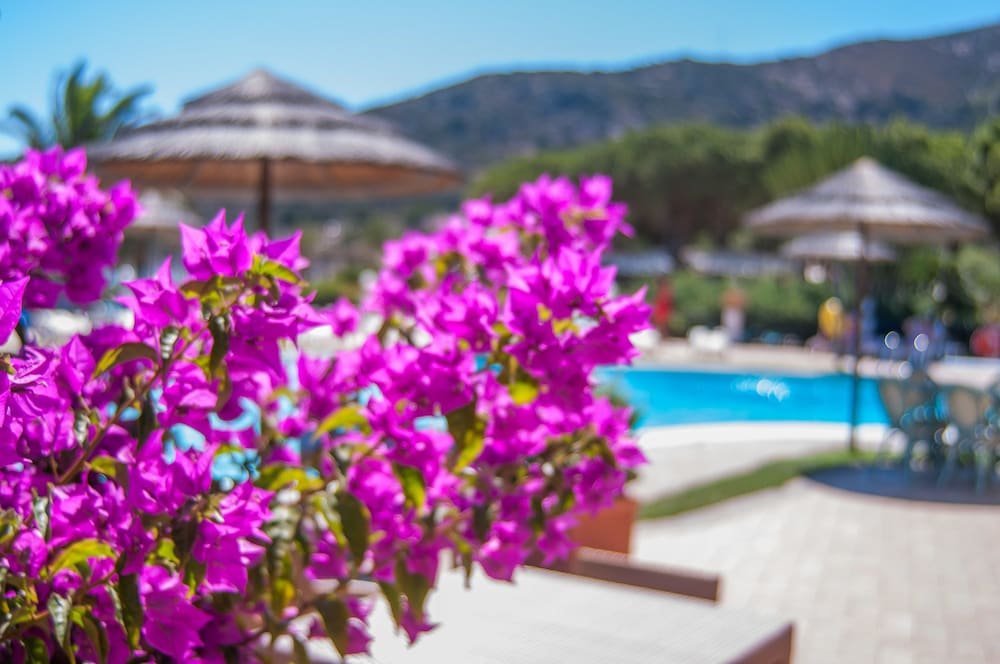 Bloementuin — Hotel & Residence Cormoran
