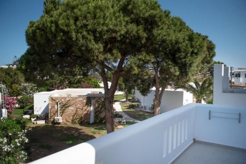 Naxos Beach Hotel foto 49