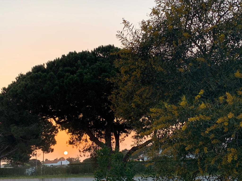 Sublime Sun and Van, By Meco Stays foto 15