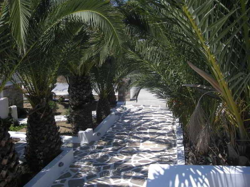 Naxos Holidays Hotel foto 18