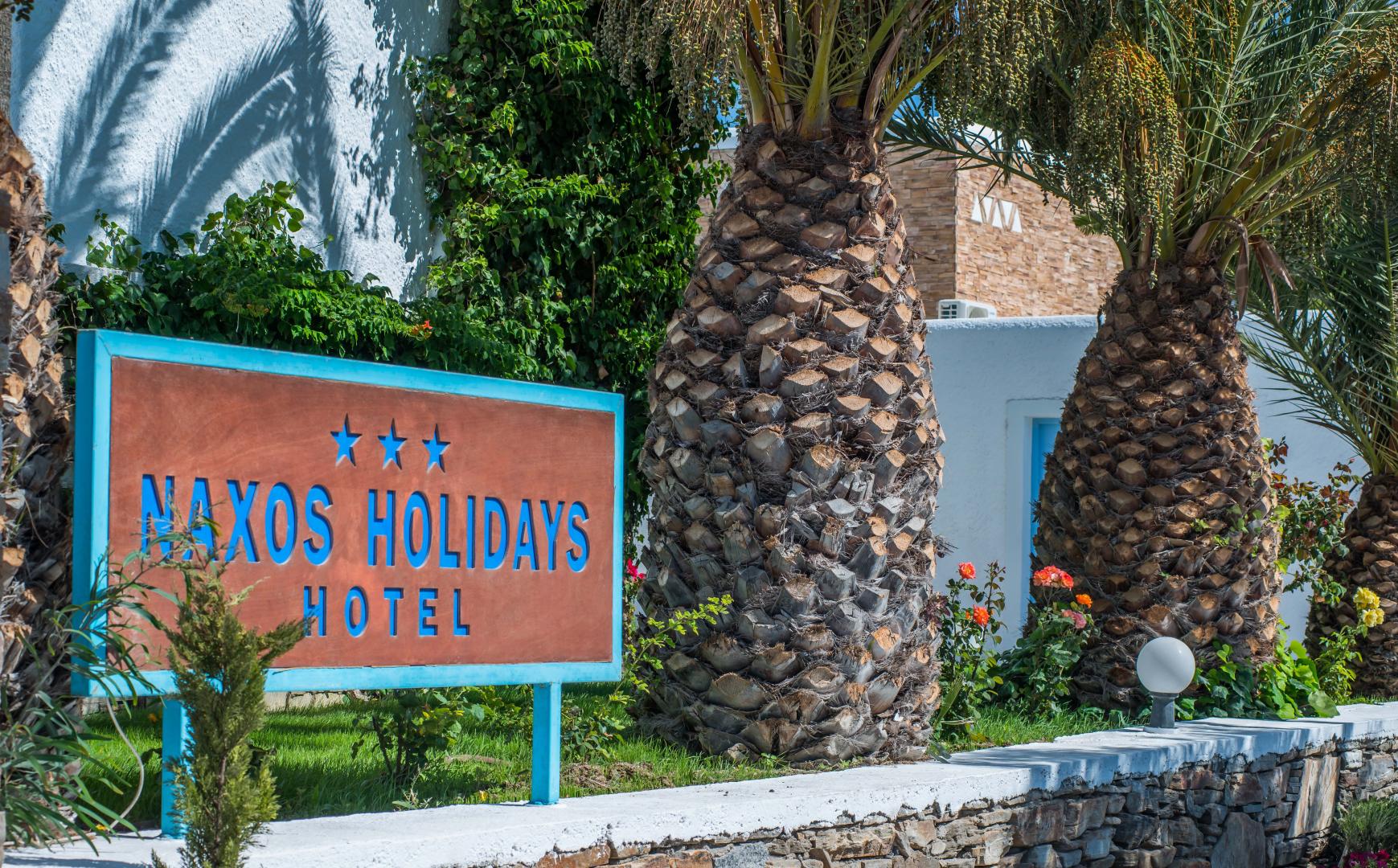 Naxos Holidays Hotel foto 30