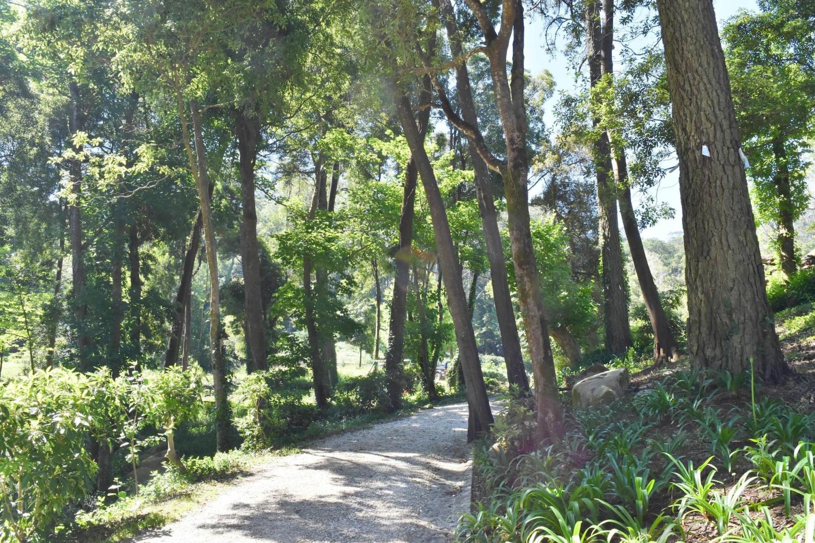 Quinta Velha foto 20