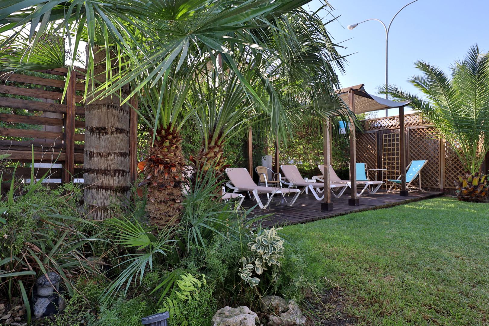 Oasis image 0