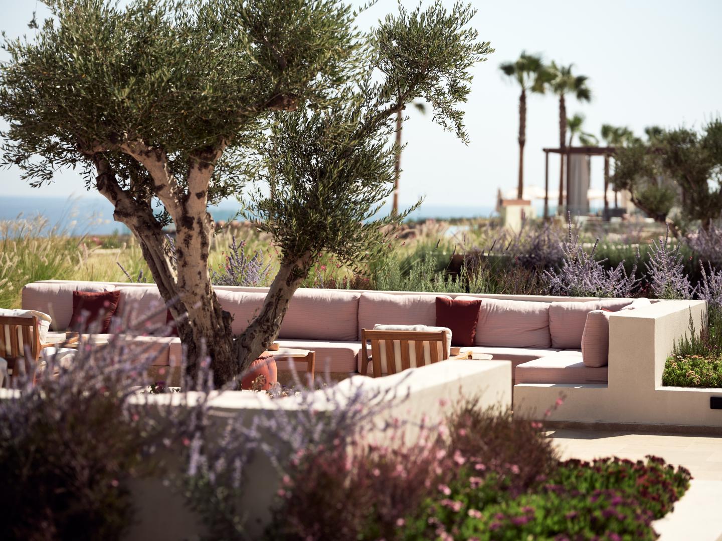 The Royal Senses Resort & Spa Crete, Curio Collection by Hilton foto 6