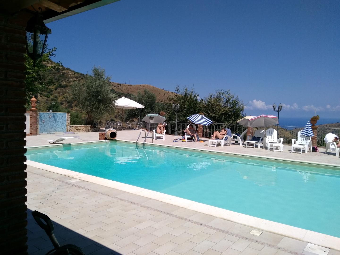 L'uliveto foto 27