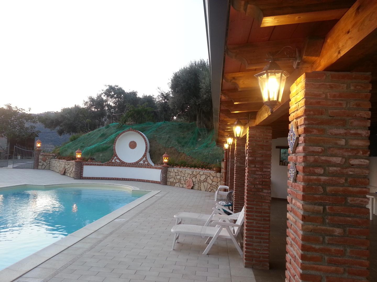 L'uliveto foto 39