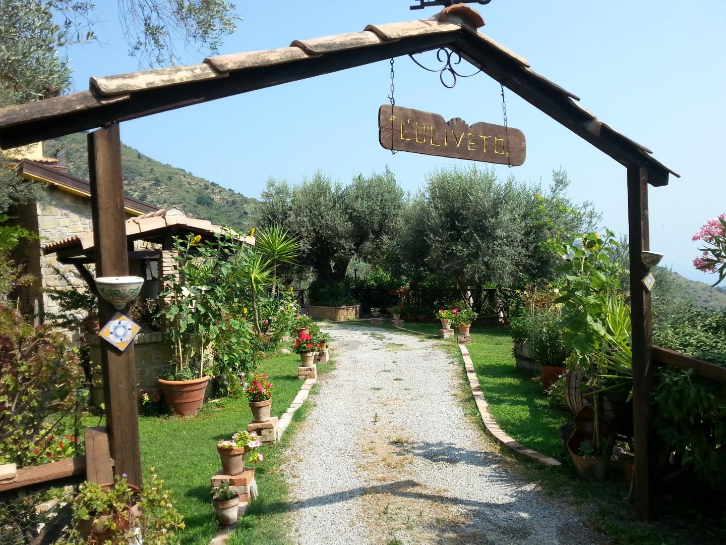 L'uliveto foto 42