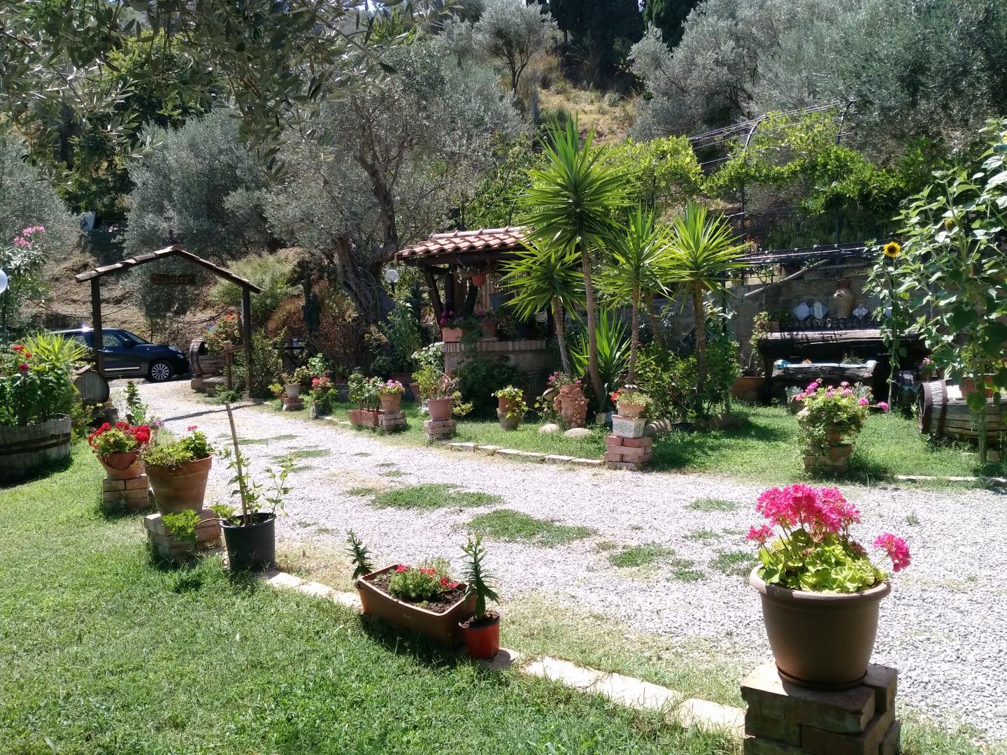 L'uliveto foto 13