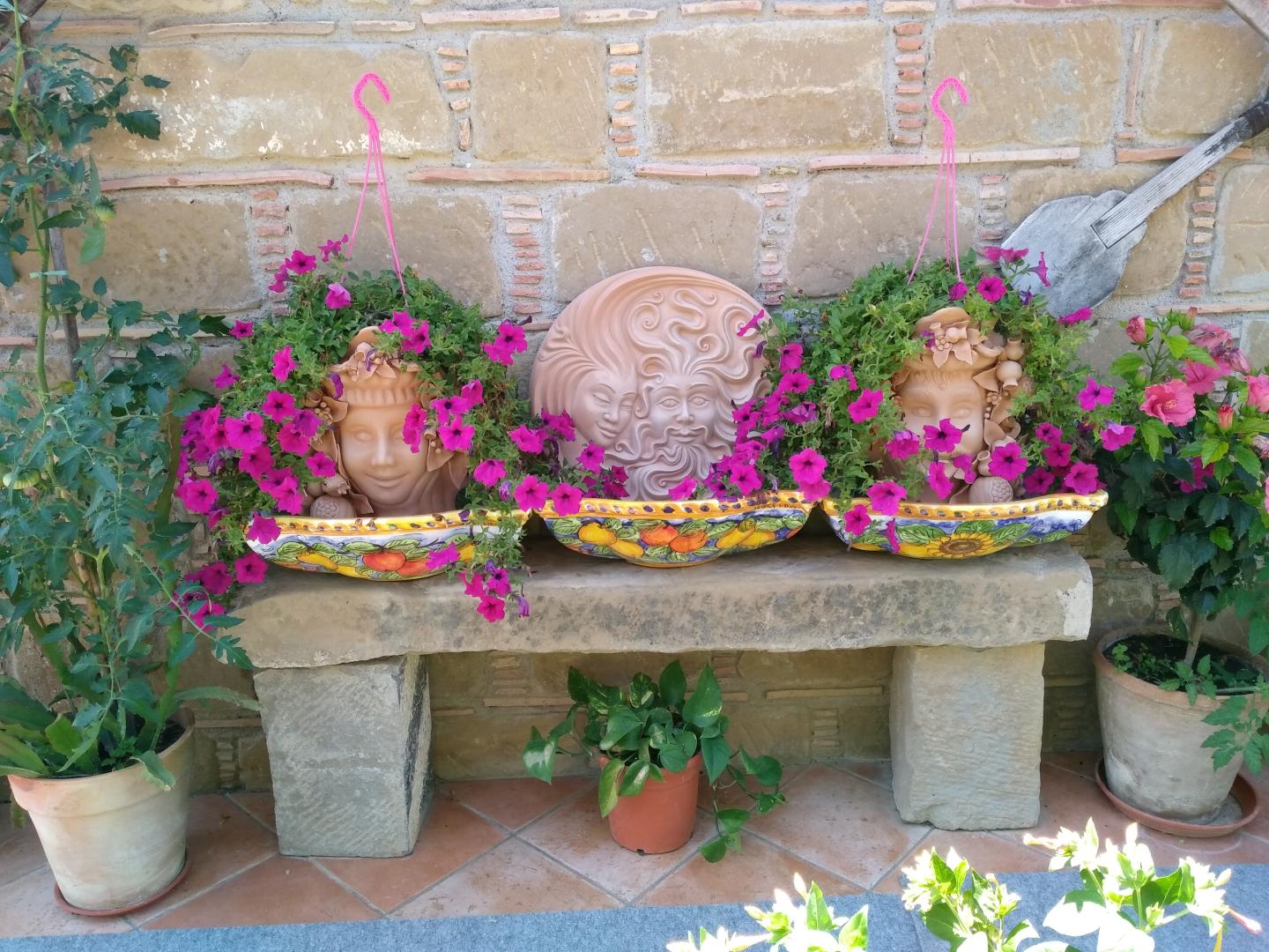 L'uliveto foto 12