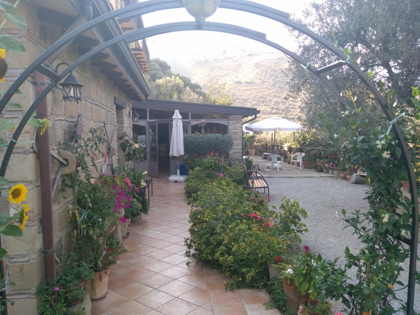 L'uliveto foto 20