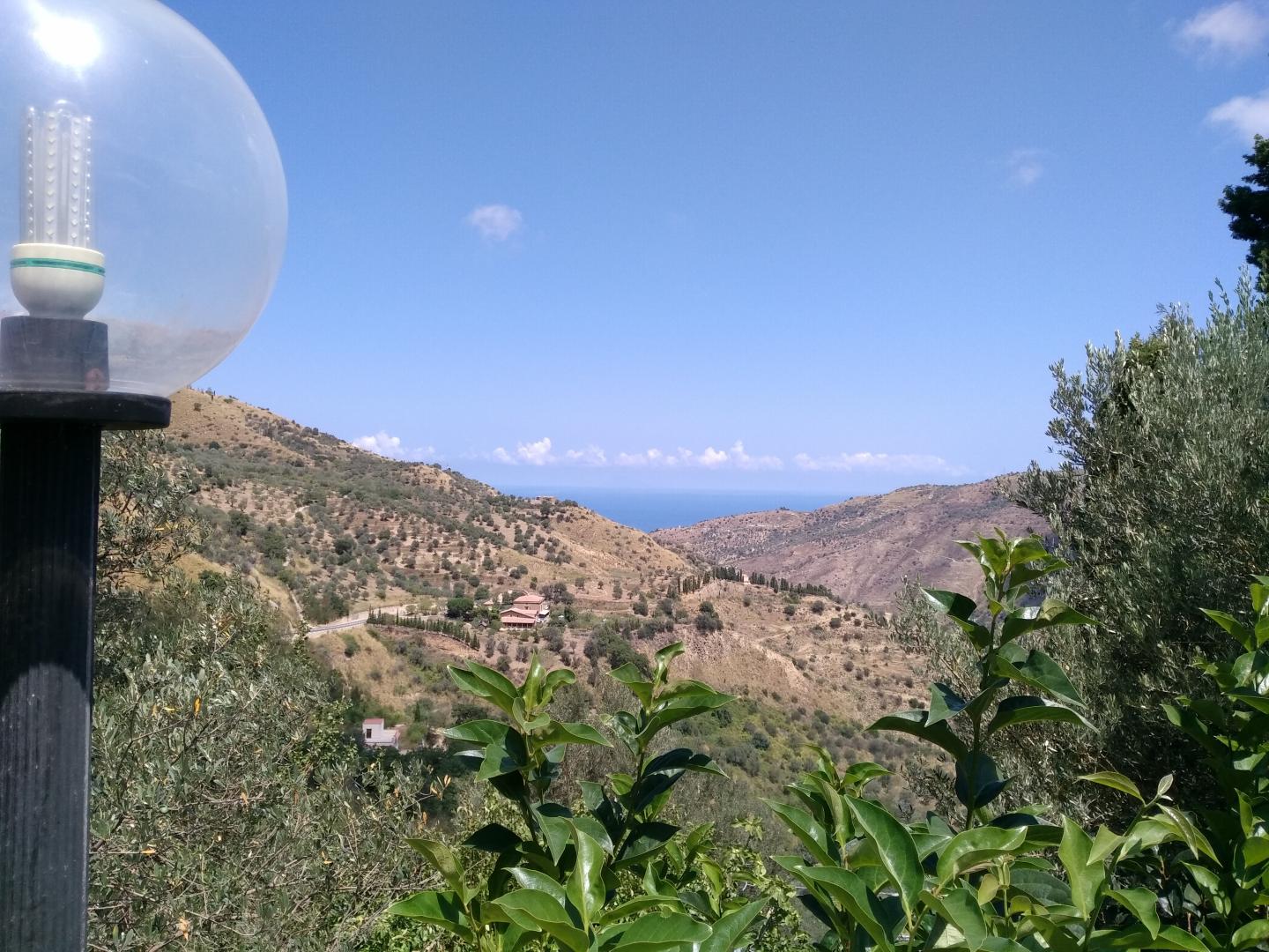 L'uliveto foto 25