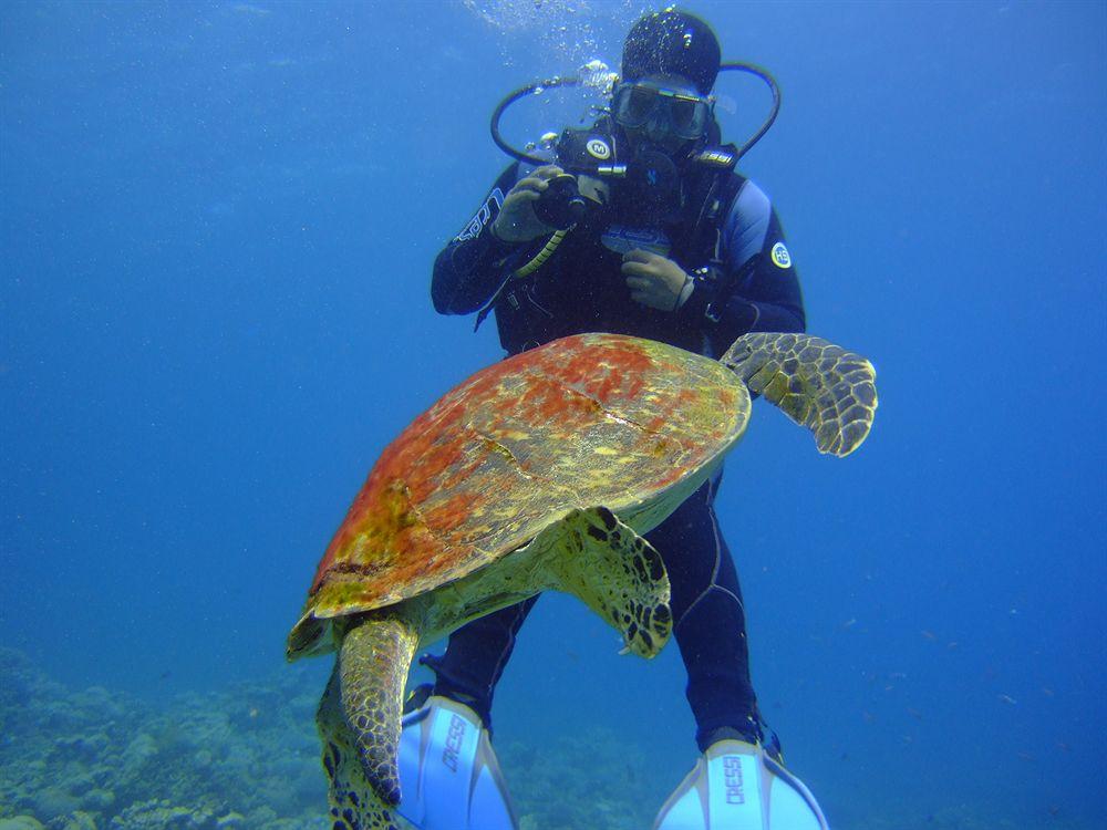 Daniela Hotel & Diving Center Dahab foto 31