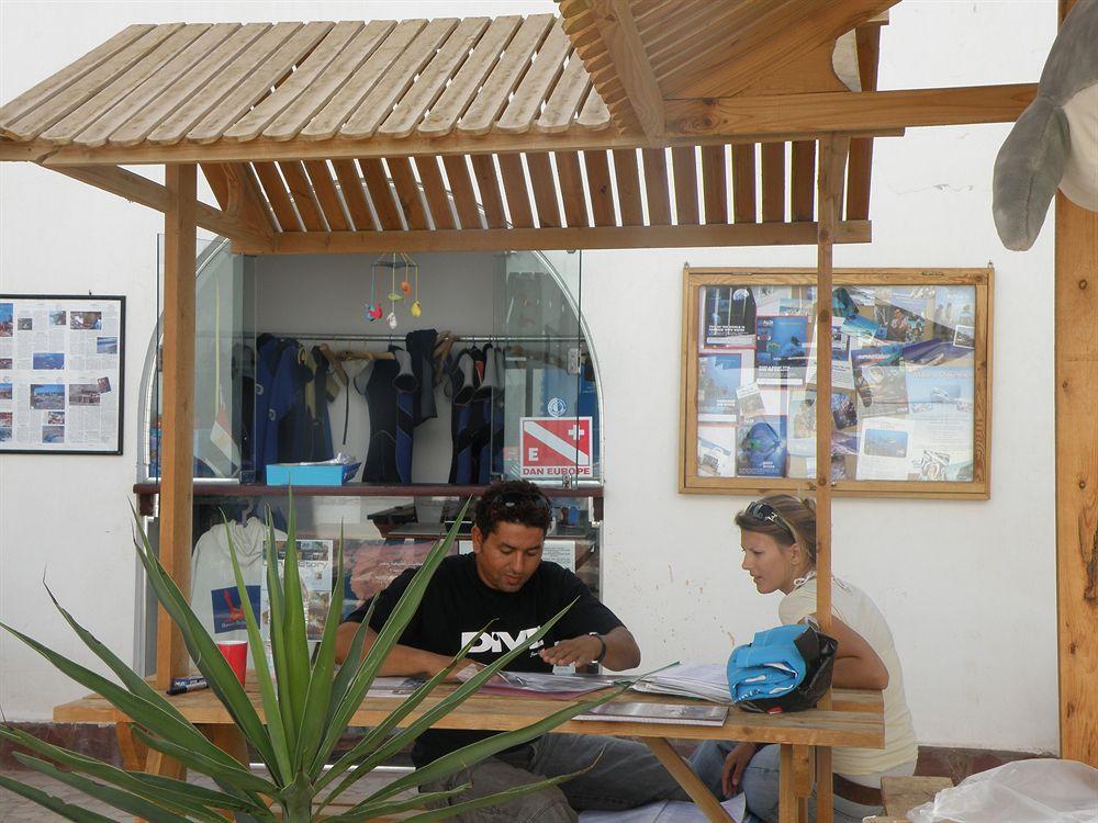 Daniela Hotel & Diving Center Dahab foto 25