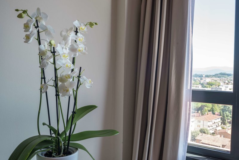 DoubleTree by Hilton Florence Metropole foto 130